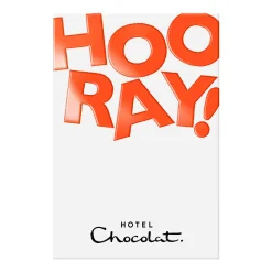 Unbelievably Vegan H-Box with Hooray Sleeve<Hotel Chocolat New